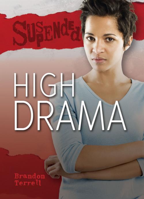 Cover of the book High Drama by Brandon Terrell, Lerner Publishing Group