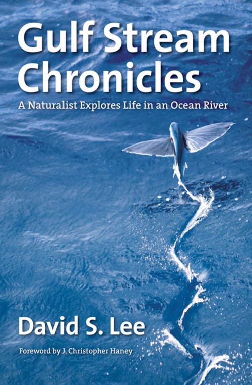 Cover of the book Gulf Stream Chronicles by David S. Lee, The University of North Carolina Press