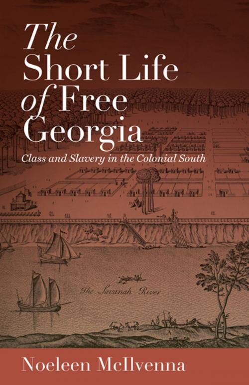Cover of the book The Short Life of Free Georgia by Noeleen McIlvenna, The University of North Carolina Press