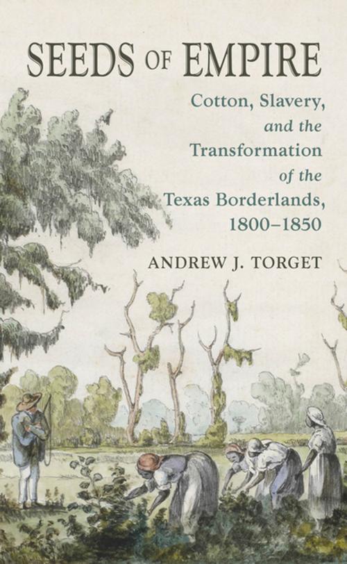 Cover of the book Seeds of Empire by Andrew J. Torget, The University of North Carolina Press