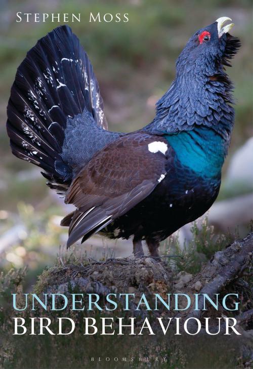 Cover of the book Understanding Bird Behaviour by Mr Stephen Moss, Bloomsbury Publishing