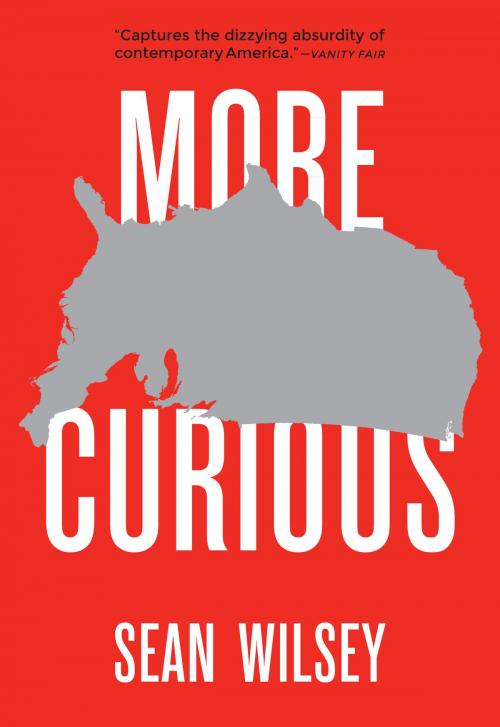 Cover of the book More Curious by Sean Wilsey, University of Texas Press