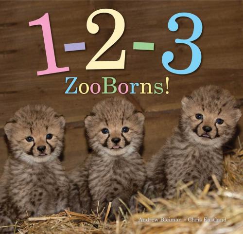 Cover of the book 1-2-3 ZooBorns! by Andrew Bleiman, Chris Eastland, Beach Lane Books