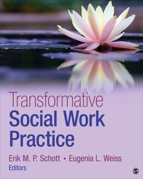 Cover of the book Transformative Social Work Practice by , SAGE Publications