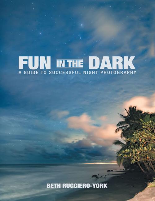Cover of the book Fun In the Dark by Beth Ruggiero-York, Lulu Publishing Services