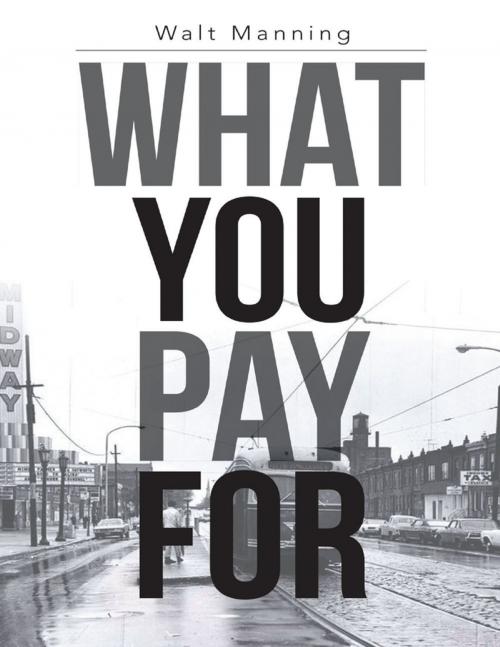 Cover of the book What You Pay For by Walt Manning, Lulu Publishing Services