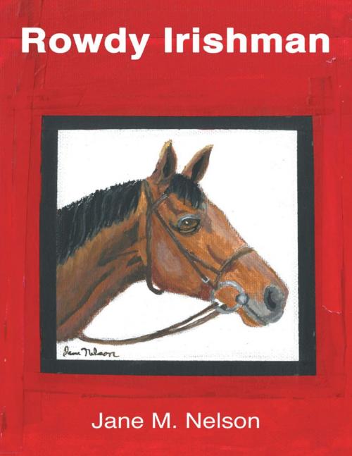 Cover of the book Rowdy Irishman by Jane M. Nelson, Lulu Publishing Services