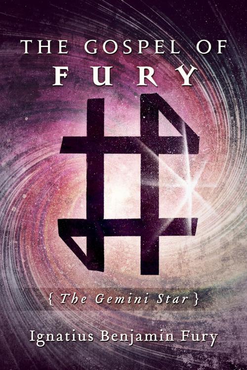 Cover of the book The Gospel of Fury by Ignatius Benjamin Fury, BookBaby