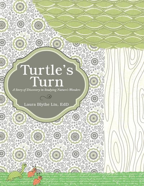 Cover of the book Turtle's Turn by Laura Blythe Liu EdD, WestBow Press