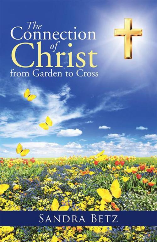 Cover of the book The Connection of Christ from Garden to Cross by Sandra Betz, WestBow Press