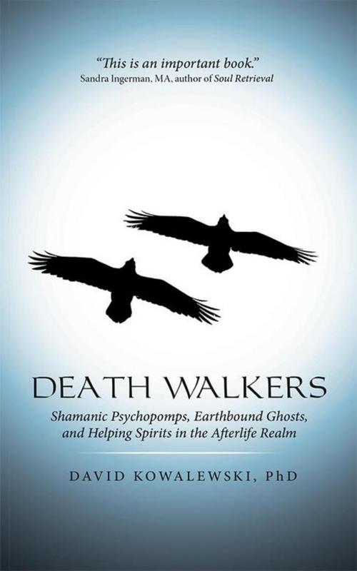 Cover of the book Death Walkers by David Kowalewski PhD, iUniverse