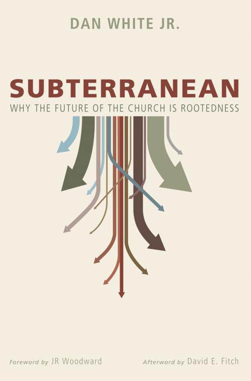 Cover of the book Subterranean by Dan White, Wipf and Stock Publishers