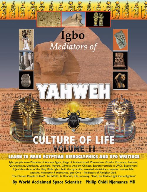 Cover of the book Igbo Mediators of Yahweh Culture of Life by Philip Chidi Njemanze, Xlibris UK