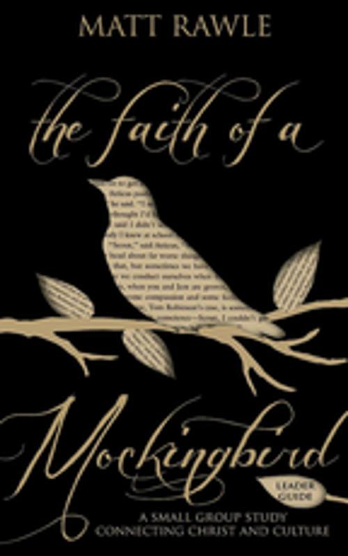 Cover of the book The Faith of a Mockingbird Leader Guide by Matt Rawle, Abingdon Press