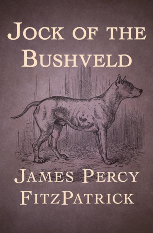 Cover of the book Jock of the Bushveld by James Percy FitzPatrick, Open Road Media