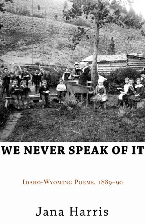 Cover of the book We Never Speak of It by Jana Harris, Open Road Distribution