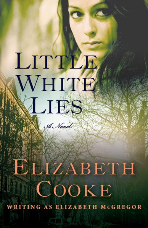 Cover of the book Little White Lies by Elizabeth Cooke, Open Road Distribution