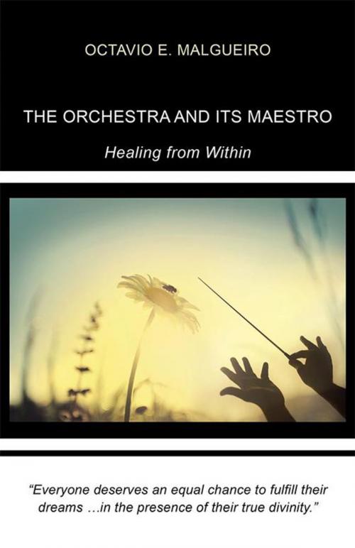 Cover of the book The Orchestra and Its Maestro by Octavio  E. Malgueiro, Balboa Press