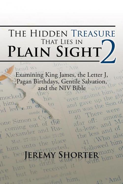 Cover of the book The Hidden Treasure That Lies in Plain Sight 2 by Jeremy Shorter, AuthorHouse