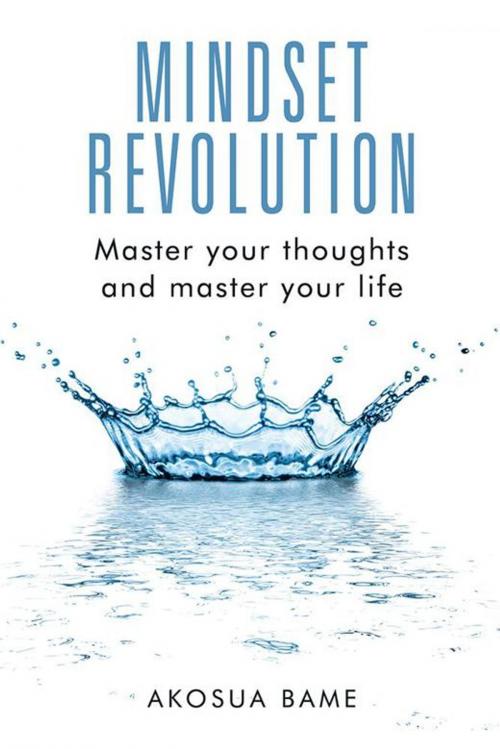 Cover of the book Mindset Revolution by Akosua Bame, AuthorHouse UK