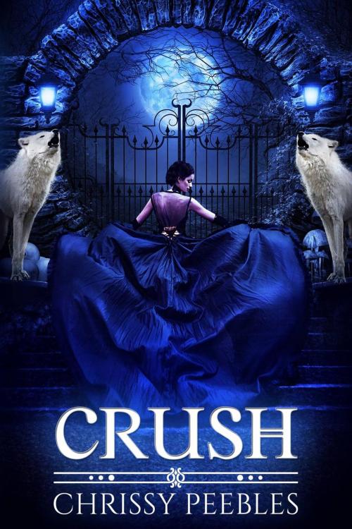 Cover of the book Crush by Chrissy Peebles, Babelcube Inc.
