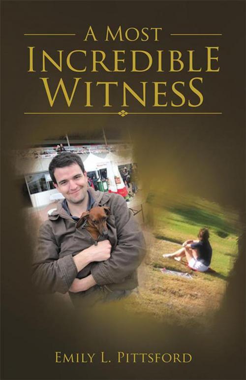 Cover of the book A Most Incredible Witness by Emily L. Pittsford, WestBow Press