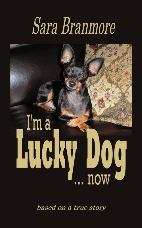 Cover of the book I'm A Lucky Dog... Now by Sara Branmore, Susan Gast