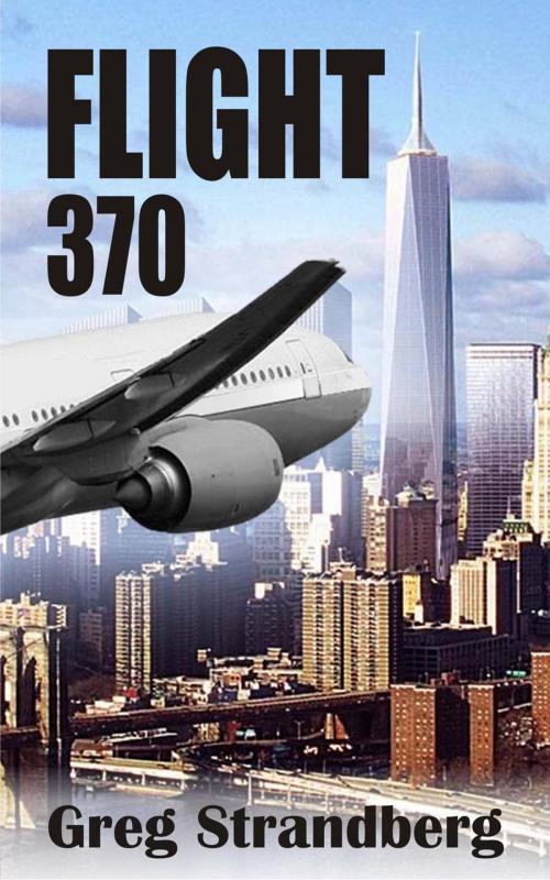 Cover of the book Flight 370 by Greg Strandberg, Greg Strandberg
