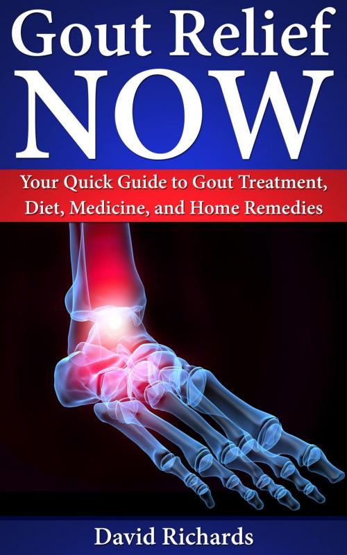 Cover of the book Gout Relief Now: Your Quick Guide to Gout Treatment, Diet, Medicine, and Home Remedies by David Richards, Healthy Wealthy nWise Press