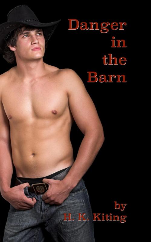 Cover of the book Danger in the Barn by H. K. Kiting, sexyfic.com