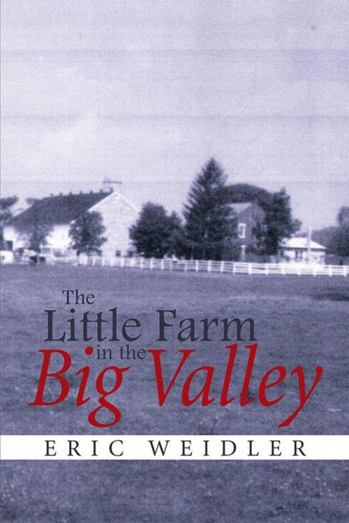 Cover of the book The Little Farm in the Big Valley by J. Higgins, Xlibris US