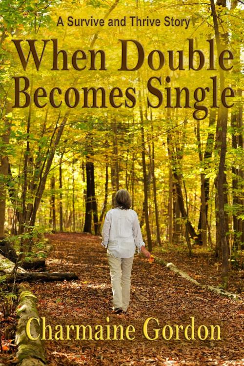 Cover of the book When Double Becomes Single by Charmaine Gordon, Vanilla Heart Publishing