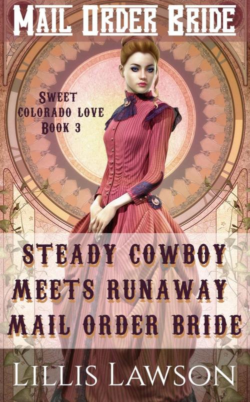 Cover of the book Steady Cowboy Meets Runaway Mail Order Bride by Lillis Lawson, Lillis Lawson