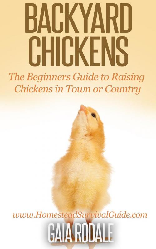 Cover of the book Backyard Chickens: The Beginners Guide to Raising Chickens in Town or Country by Gaia Rodale, Healthy Wealthy nWise Press