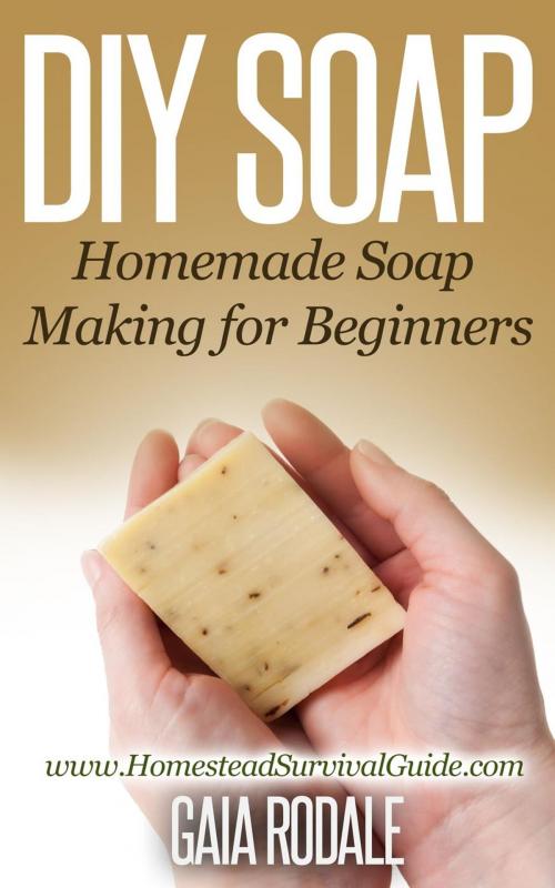 Cover of the book DIY Soap: Homemade Soap Making for Beginners by Gaia Rodale, Healthy Wealthy nWise Press