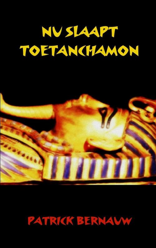 Cover of the book Nu slaapt Toetanchamon by Patrick Bernauw, vzw de Scriptomanen