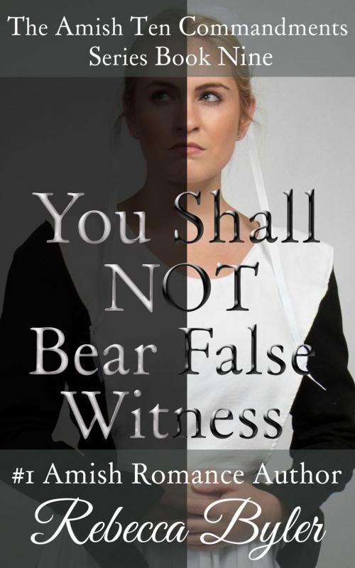 Cover of the book You Shall Not Bear False Witness by Rebecca Byler, Rebecca Byler