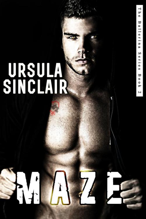 Cover of the book Maze by Ursula Sinclair, Isisindc Publishing, LLC