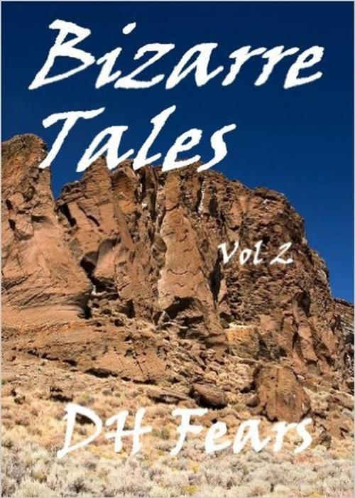 Cover of the book Bizarre Tales Vol. 2 by David Fears, David Fears