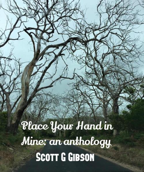 Cover of the book Place Your Hand in Mine by Scott G. Gibson, Scott Gibson