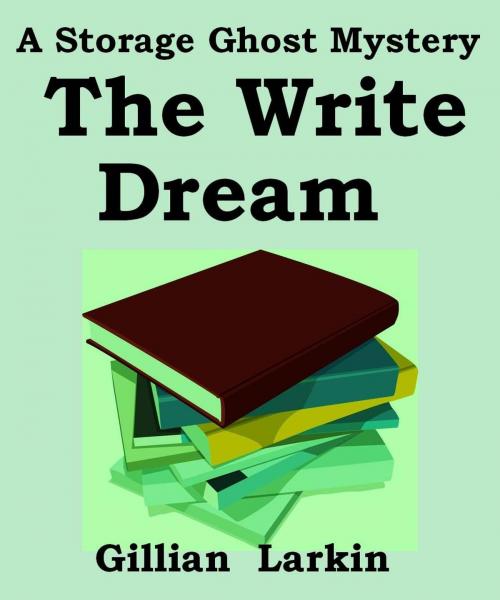 Cover of the book The Write Dream by Gillian Larkin, Gillian Larkin