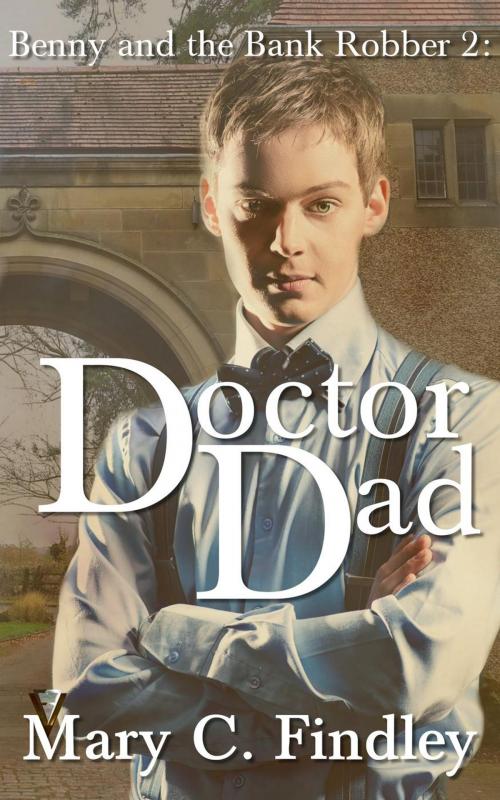 Cover of the book Doctor Dad by Mary C. Findley, Findley Family Video