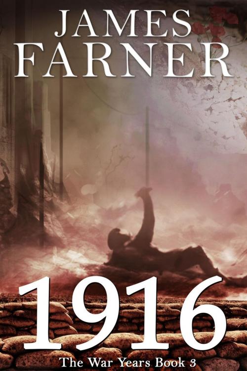 Cover of the book 1916 by James Farner, James Farner