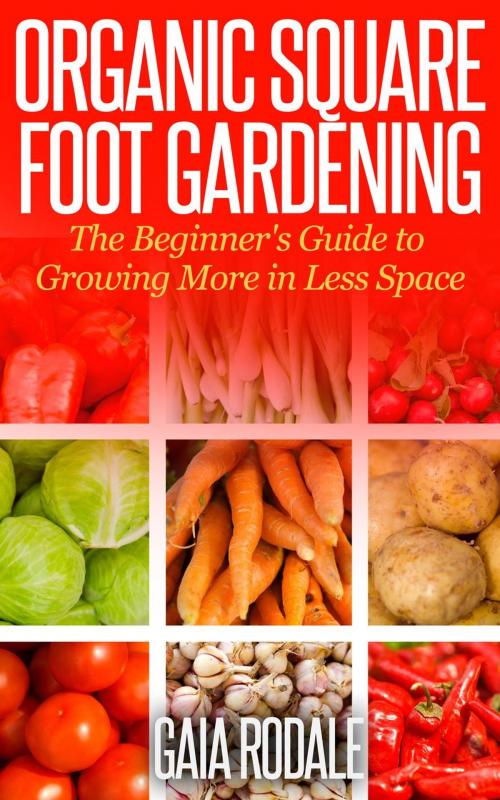 Cover of the book Organic Square Foot Gardening: The Beginner's Guide to Growing More in Less Space by Gaia Rodale, Healthy Wealthy nWise Press