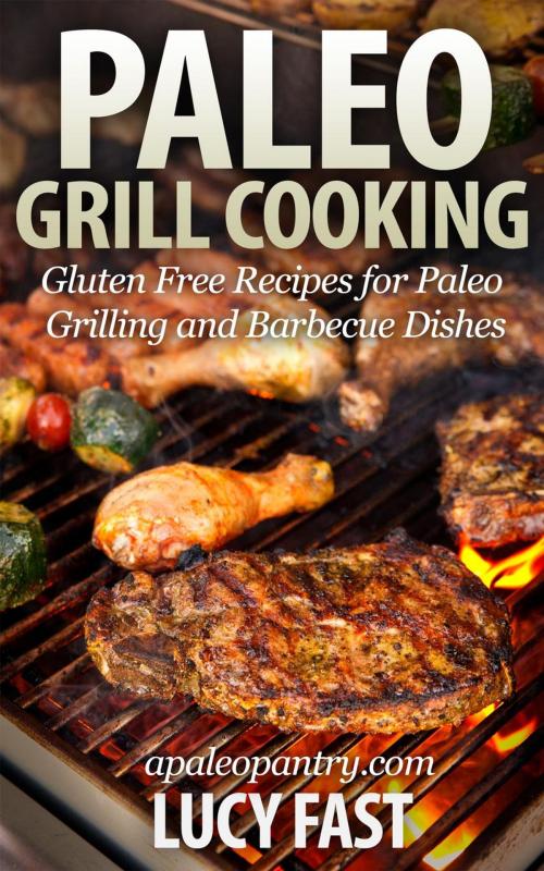 Cover of the book Paleo Grill Cooking: Gluten Free Recipes for Paleo Grilling and Barbecue Dishes by Lucy Fast, Healthy Wealthy nWise Press