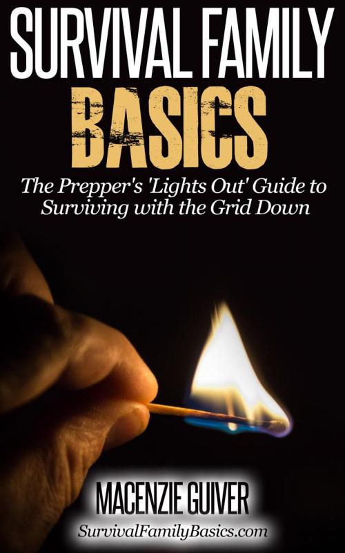 Cover of the book The Prepper's 'Lights Out' Guide to Surviving with the Grid Down by Macenzie Guiver, Healthy Wealthy nWise Press