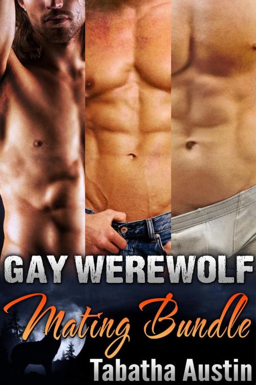 Cover of the book Gay Werewolf Bundle by Tabatha Austin, Tabatha Austin