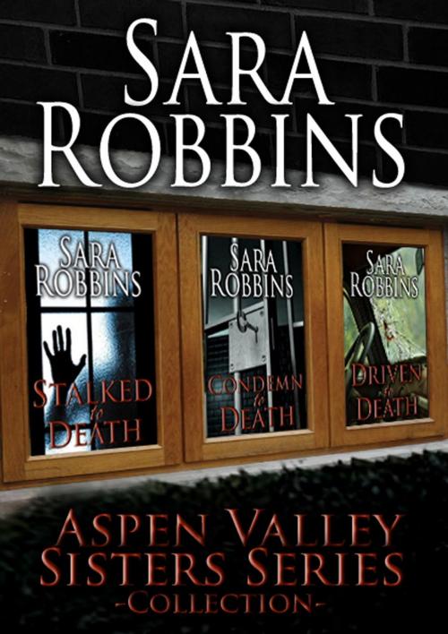 Cover of the book Aspen Valley Sisters Collection (Book 1-3) by Sara Robbins, Plan C Publishing
