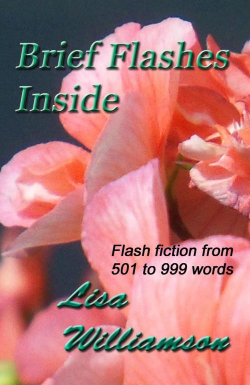 Cover of the book Brief Flashes Inside by Lisa Williamson, Lisa  Williamson