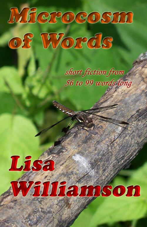 Cover of the book A Microcosm of Words by Lisa Williamson, Lisa  Williamson